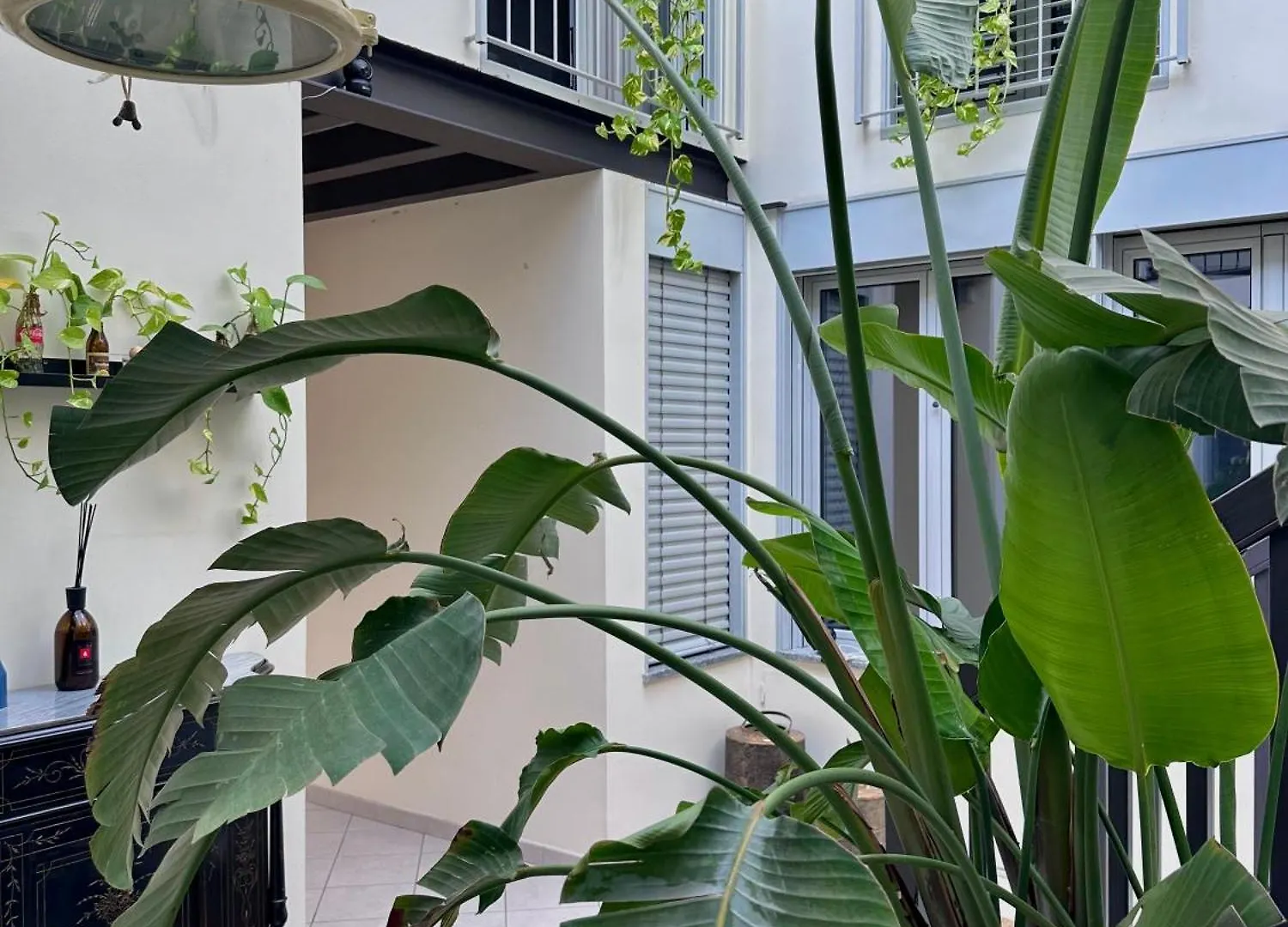 Oma Apartment بافيا 0*,  إيطاليا
